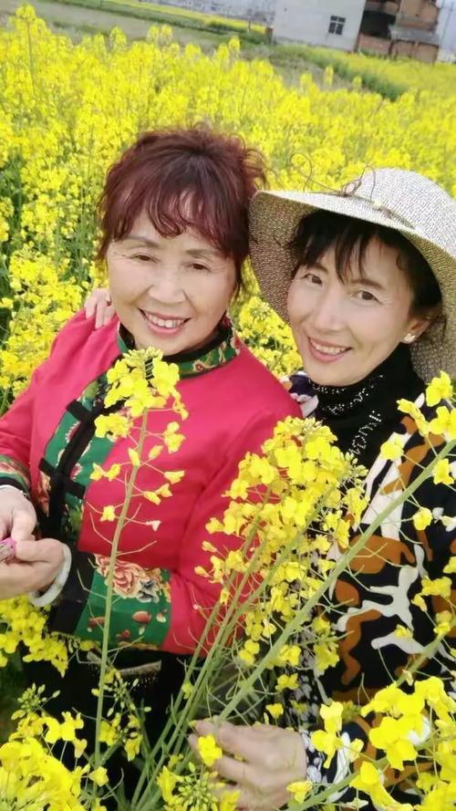 春染桃园忆芳华——东列检退休姐妹同游恒口桃花园